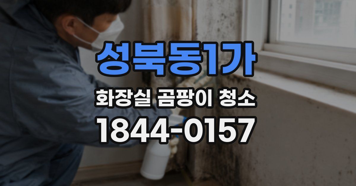 성북동1가 화장실 곰팡이 청소