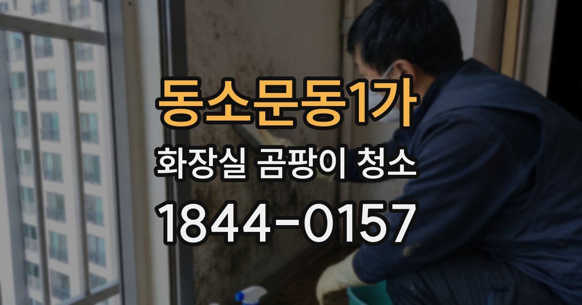 동소문동1가 화장실 곰팡이 청소