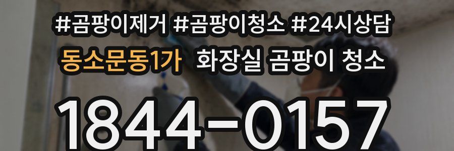 동소문동1가 화장실 곰팡이 청소