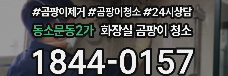 동소문동2가 화장실 곰팡이 청소
