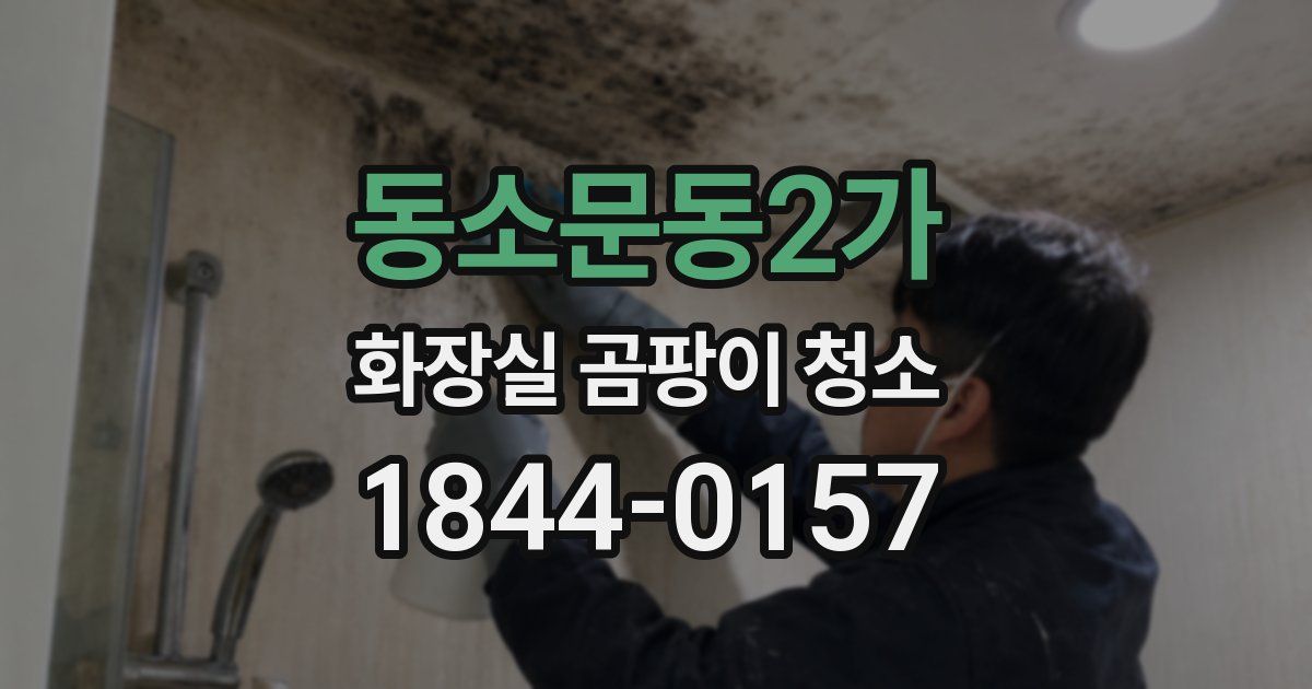 동소문동2가 화장실 곰팡이 청소