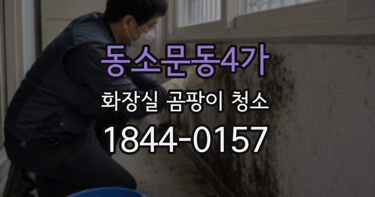동소문동4가 화장실 곰팡이 청소