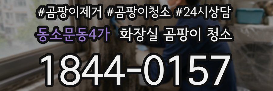 동소문동4가 화장실 곰팡이 청소
