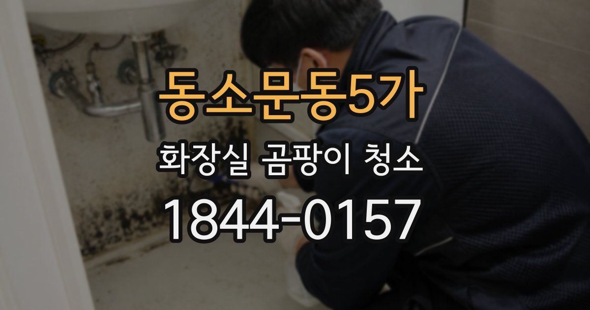 동소문동5가 화장실 곰팡이 청소