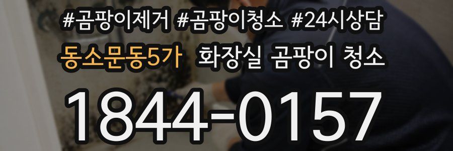 동소문동5가 화장실 곰팡이 청소