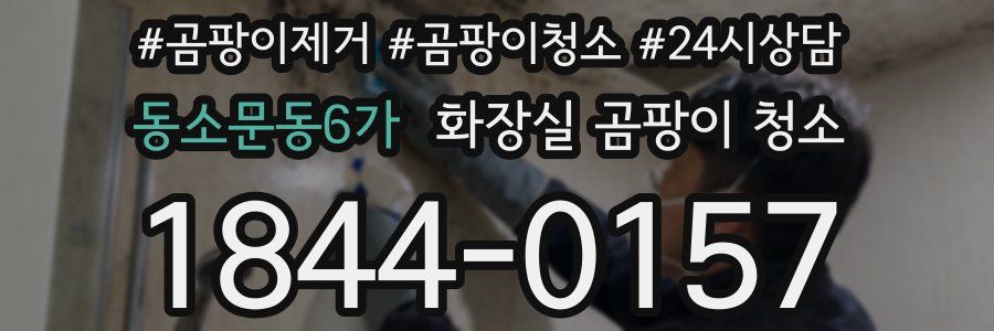 동소문동6가 화장실 곰팡이 청소