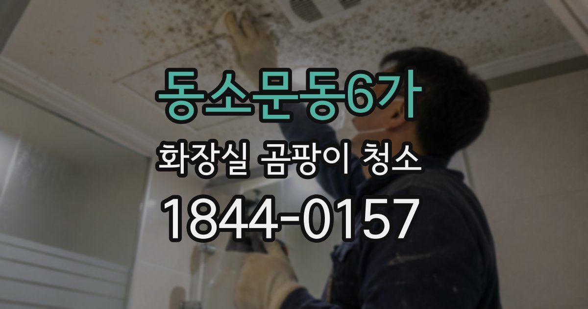동소문동6가 화장실 곰팡이 청소