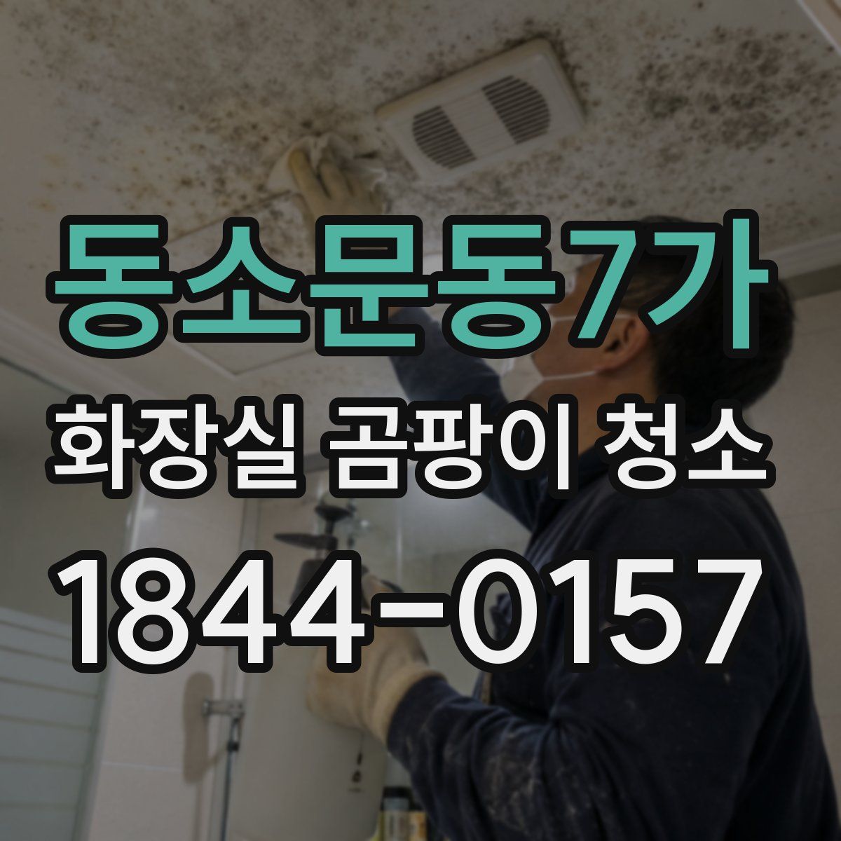 동소문동7가 화장실 곰팡이 청소
