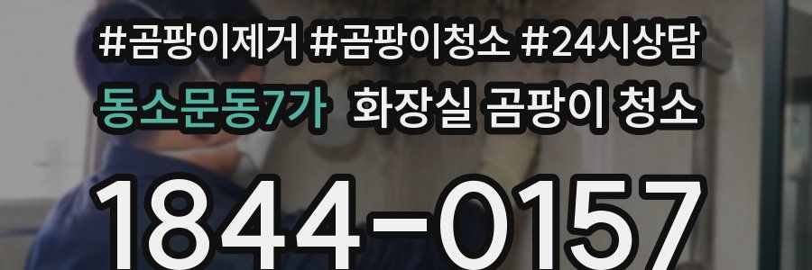 동소문동7가 화장실 곰팡이 청소