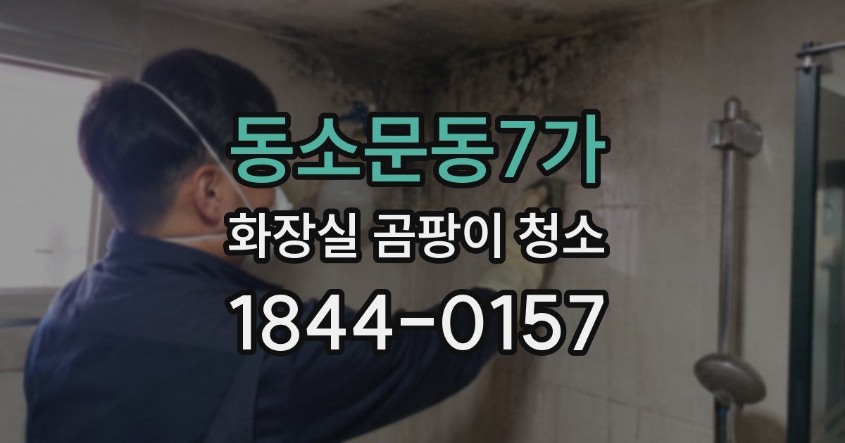 동소문동7가 화장실 곰팡이 청소