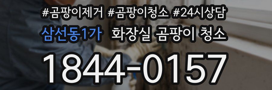 삼선동1가 화장실 곰팡이 청소