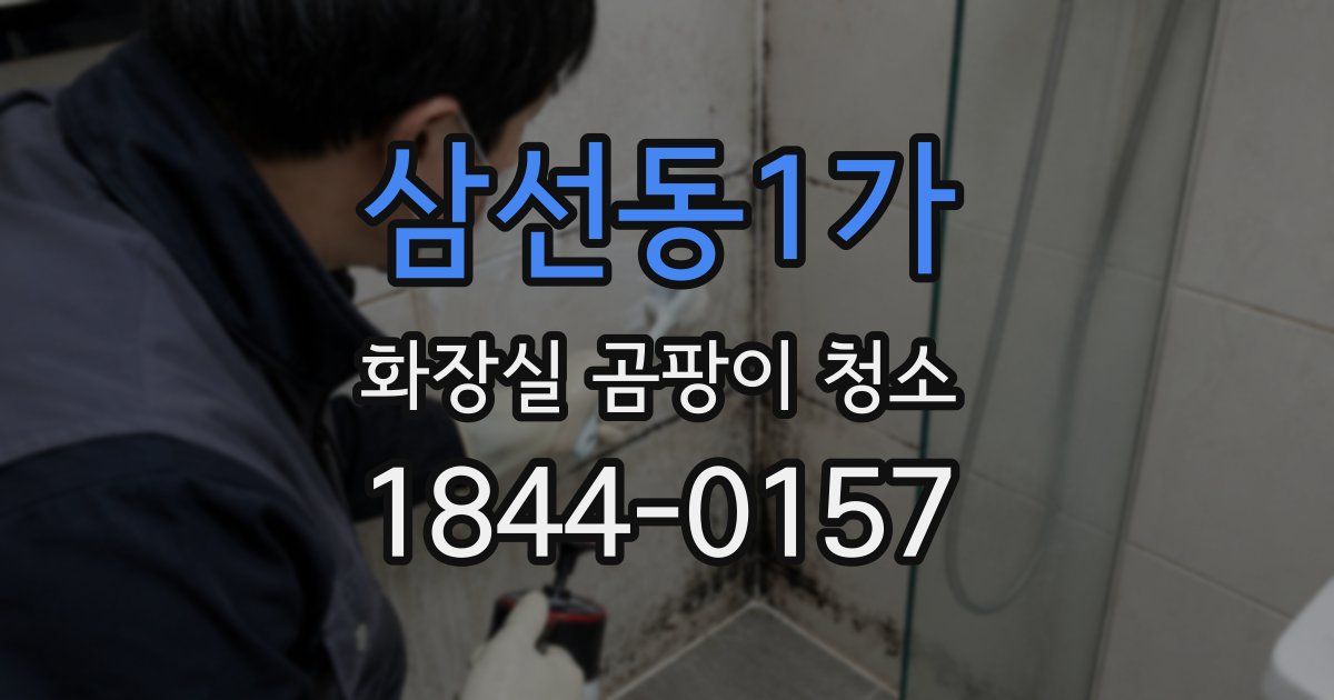 삼선동1가 화장실 곰팡이 청소