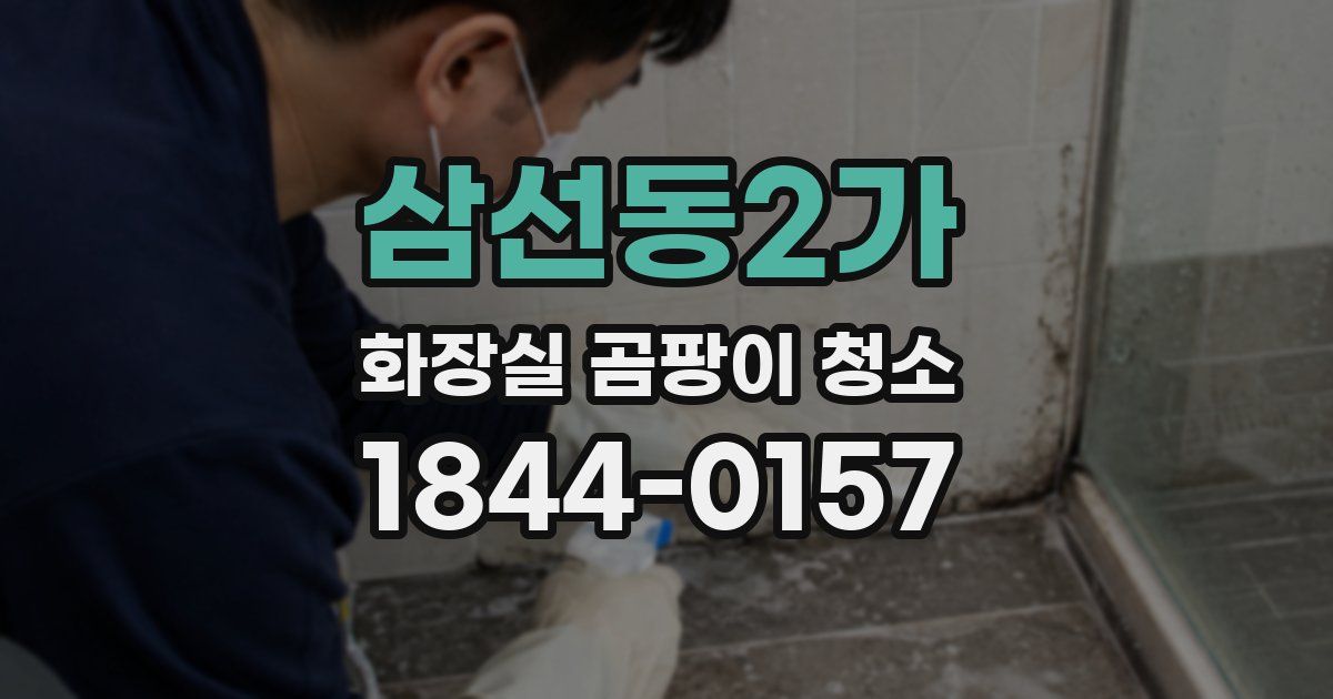 삼선동2가 화장실 곰팡이 청소