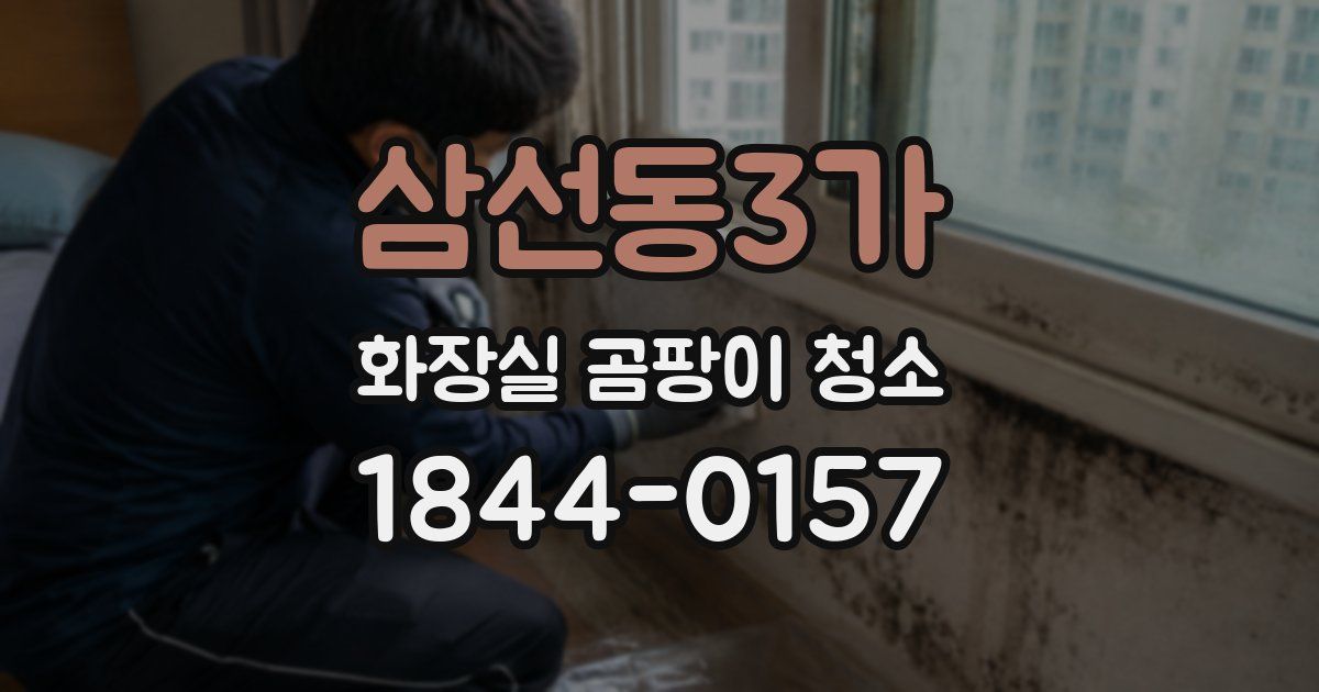 삼선동3가 화장실 곰팡이 청소