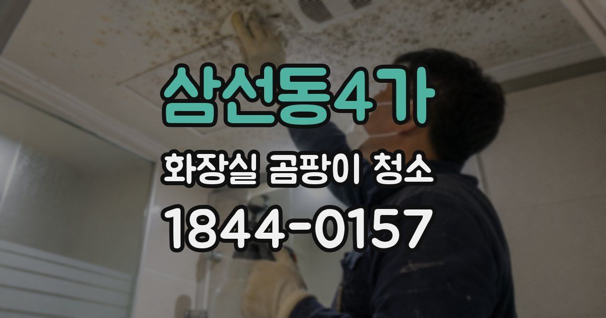 삼선동4가 화장실 곰팡이 청소