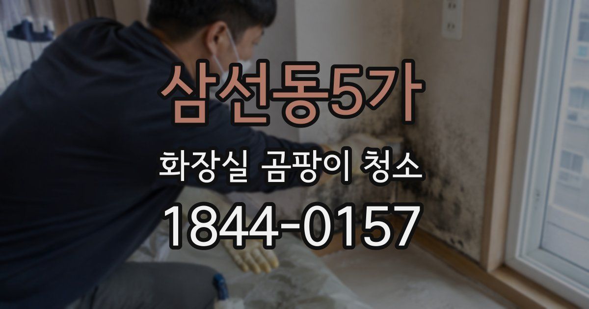 삼선동5가 화장실 곰팡이 청소