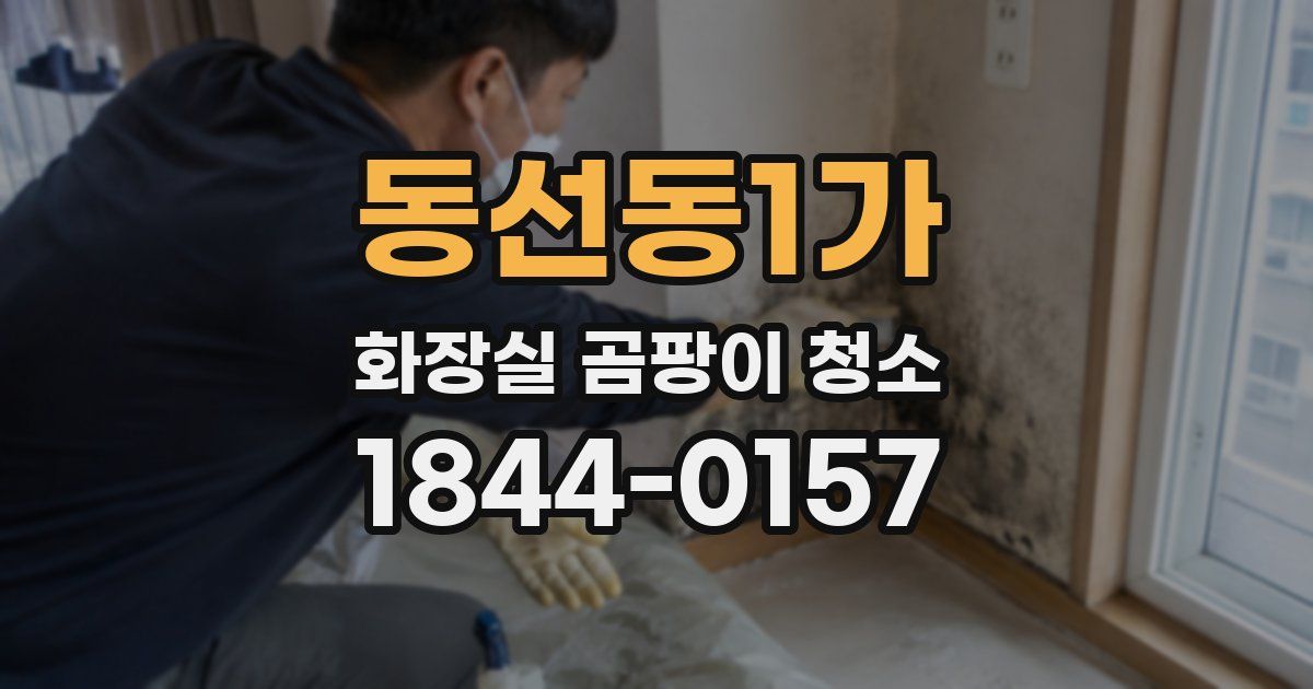 동선동1가 화장실 곰팡이 청소