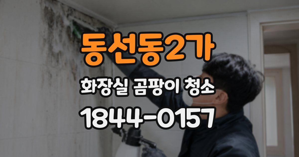 동선동2가 화장실 곰팡이 청소