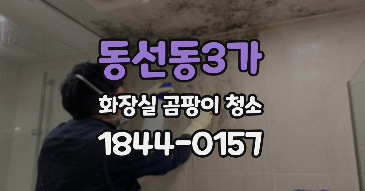 동선동3가 화장실 곰팡이 청소