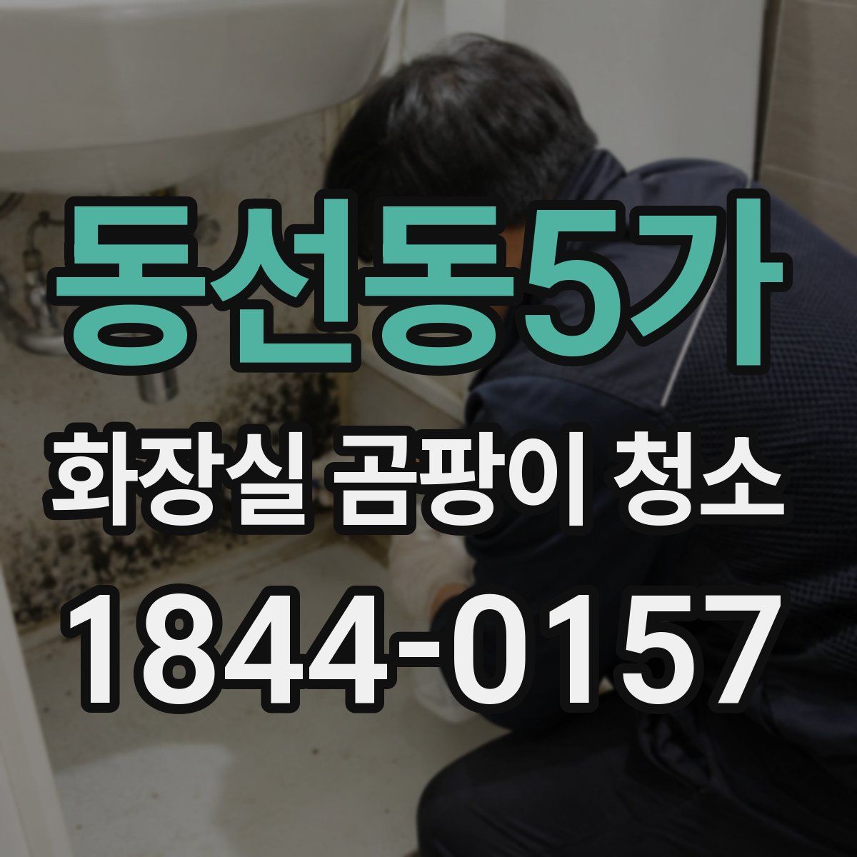 동선동5가 화장실 곰팡이 청소