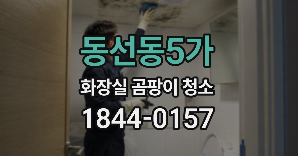 동선동5가 화장실 곰팡이 청소