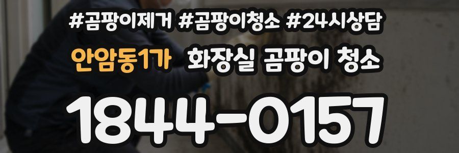 안암동1가 화장실 곰팡이 청소