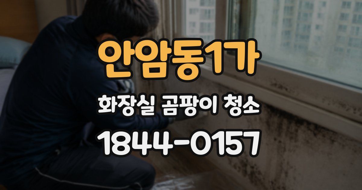 안암동1가 화장실 곰팡이 청소
