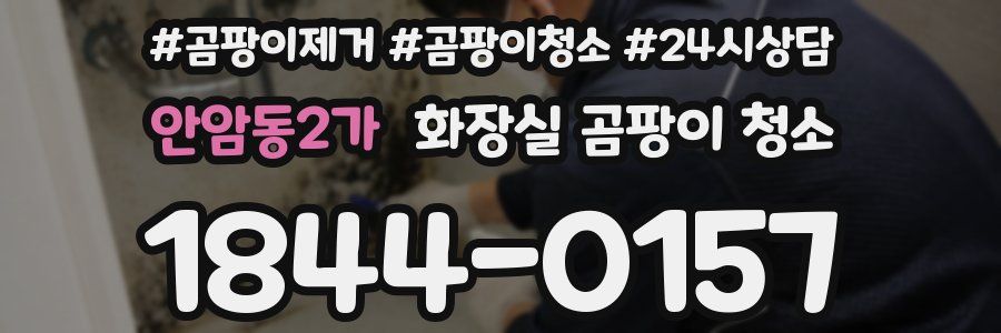 안암동2가 화장실 곰팡이 청소