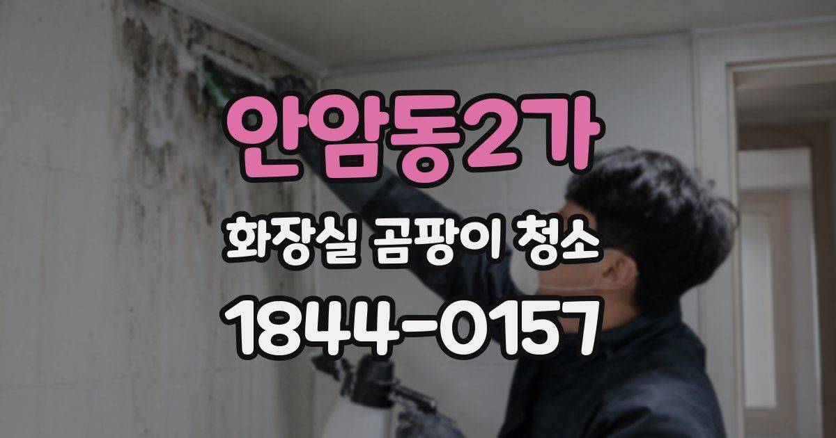 안암동2가 화장실 곰팡이 청소
