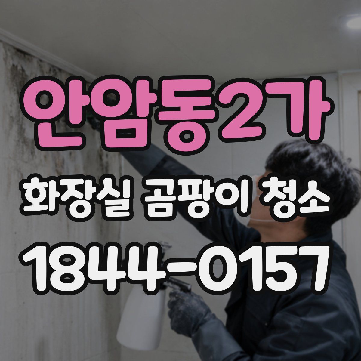 안암동2가 화장실 곰팡이 청소