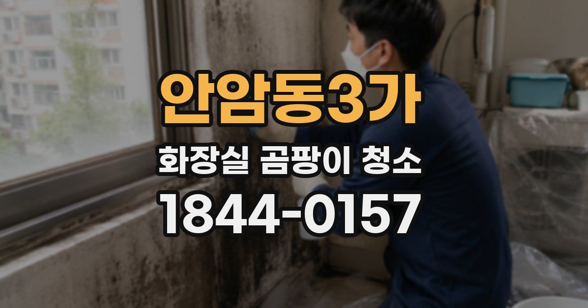 안암동3가 화장실 곰팡이 청소