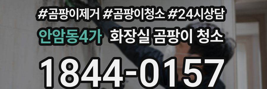 안암동4가 화장실 곰팡이 청소
