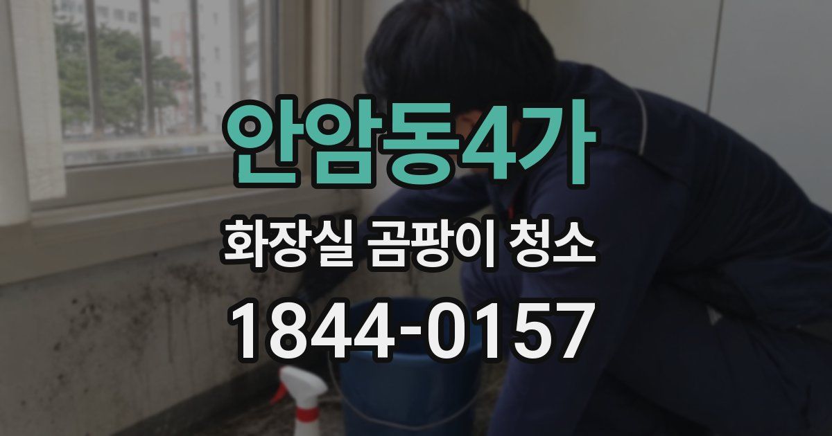 안암동4가 화장실 곰팡이 청소
