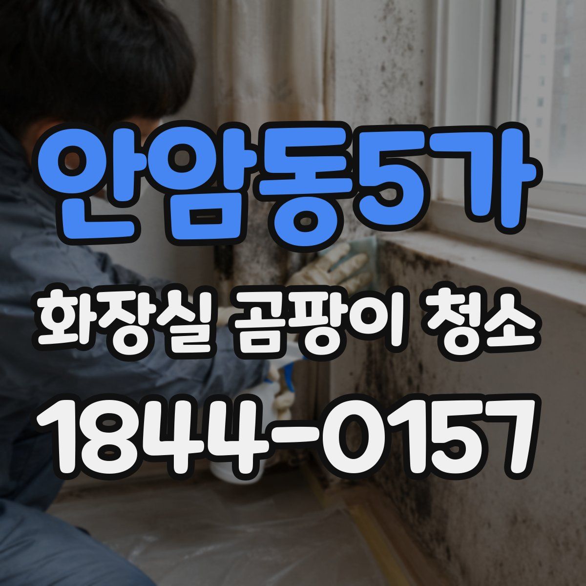안암동5가 화장실 곰팡이 청소