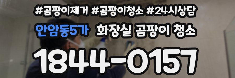 안암동5가 화장실 곰팡이 청소