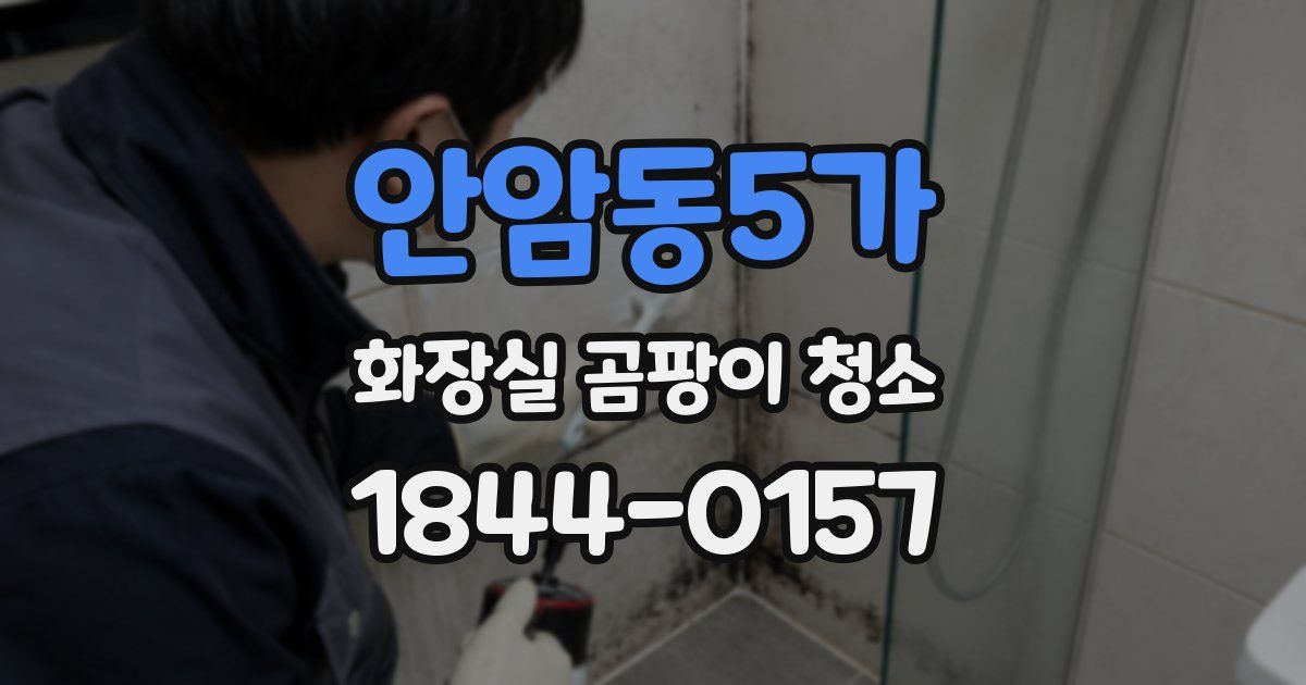 안암동5가 화장실 곰팡이 청소
