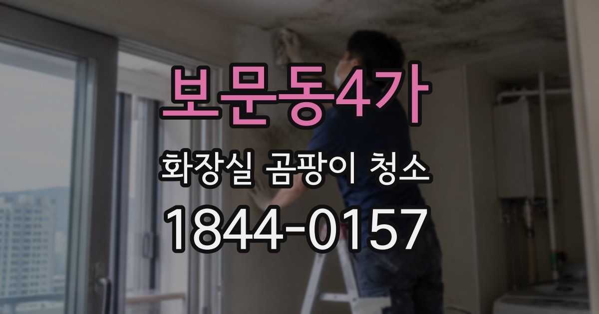 보문동4가 화장실 곰팡이 청소