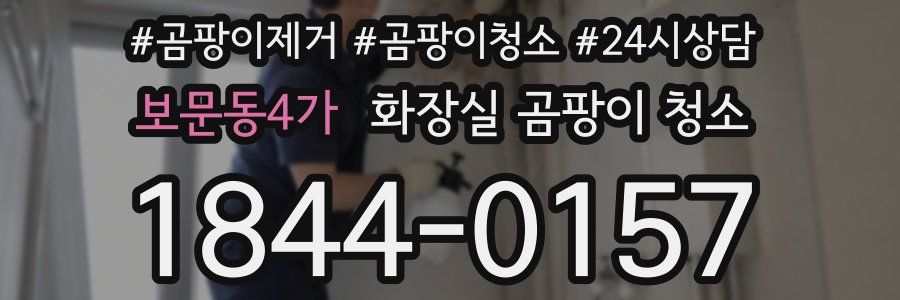 보문동4가 화장실 곰팡이 청소