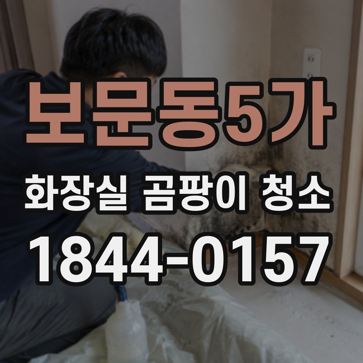 보문동5가 화장실 곰팡이 청소 세정과 살균을 나눠서 진행하는 순서
