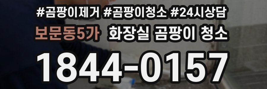 보문동5가 화장실 곰팡이 청소