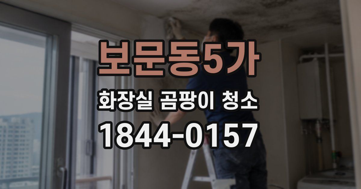 보문동5가 화장실 곰팡이 청소