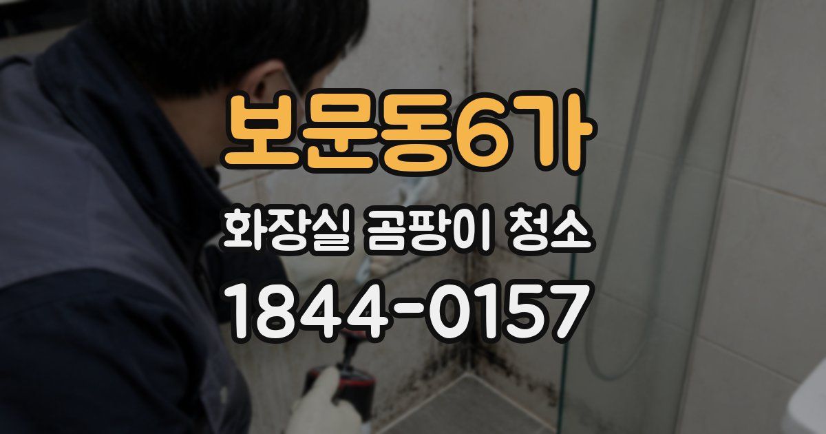보문동6가 화장실 곰팡이 청소