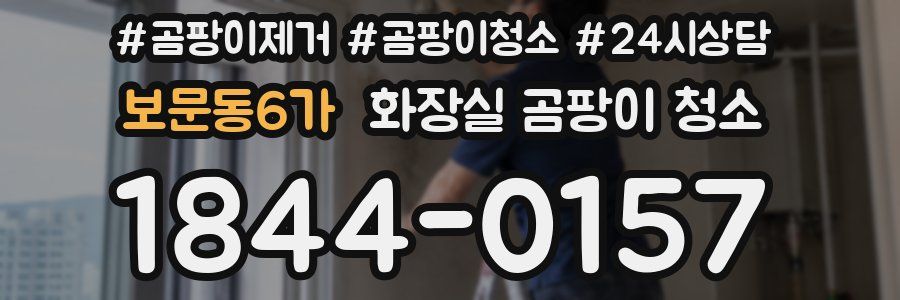 보문동6가 화장실 곰팡이 청소