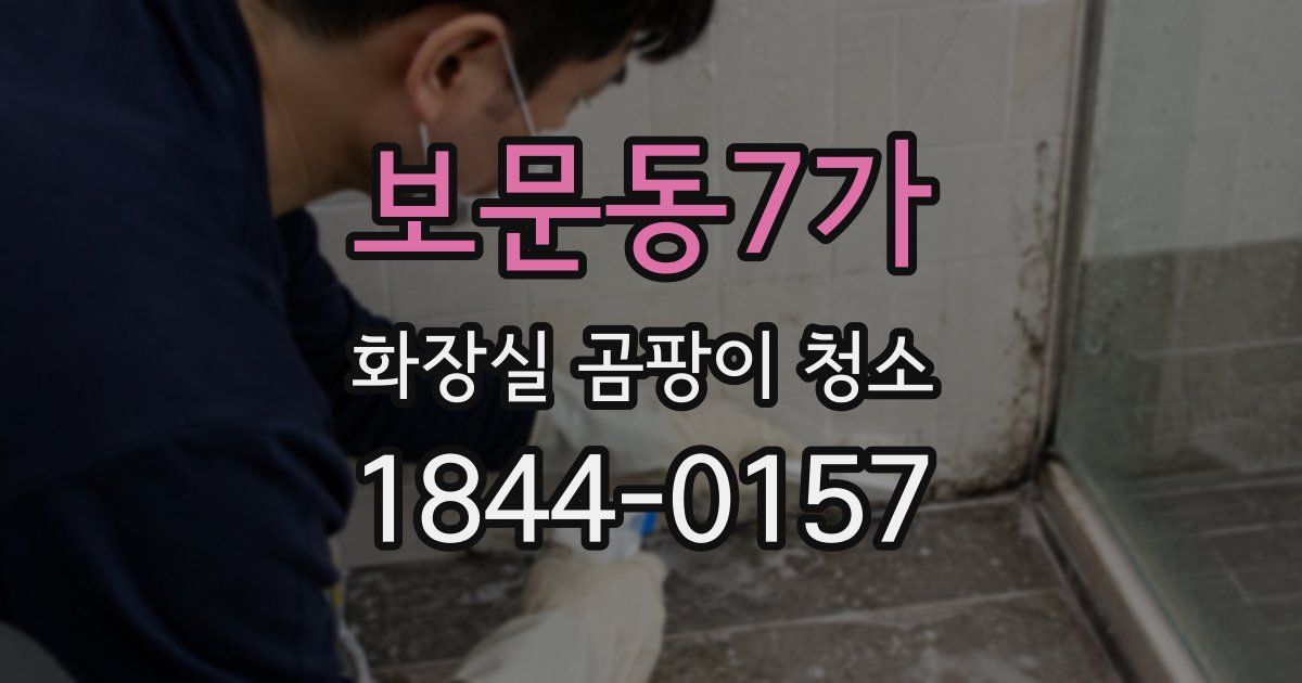 보문동7가 화장실 곰팡이 청소