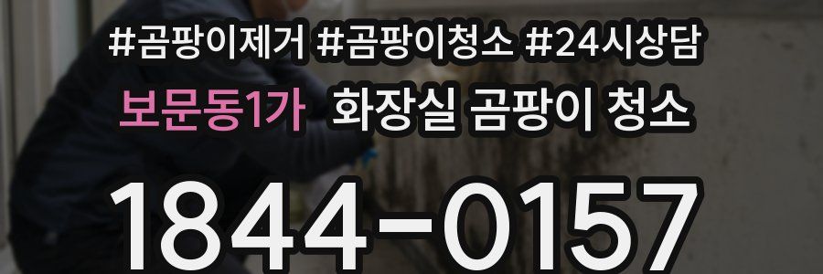 보문동1가 화장실 곰팡이 청소