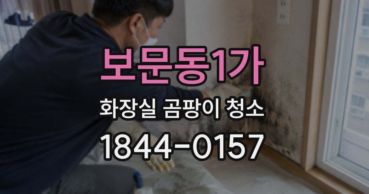 보문동1가 화장실 곰팡이 청소