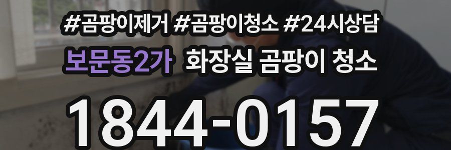 보문동2가 화장실 곰팡이 청소