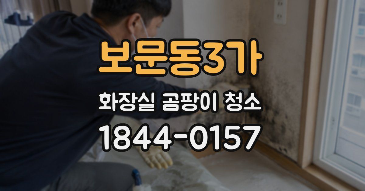 보문동3가 화장실 곰팡이 청소