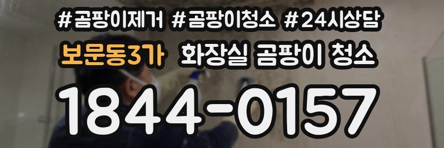 보문동3가 화장실 곰팡이 청소