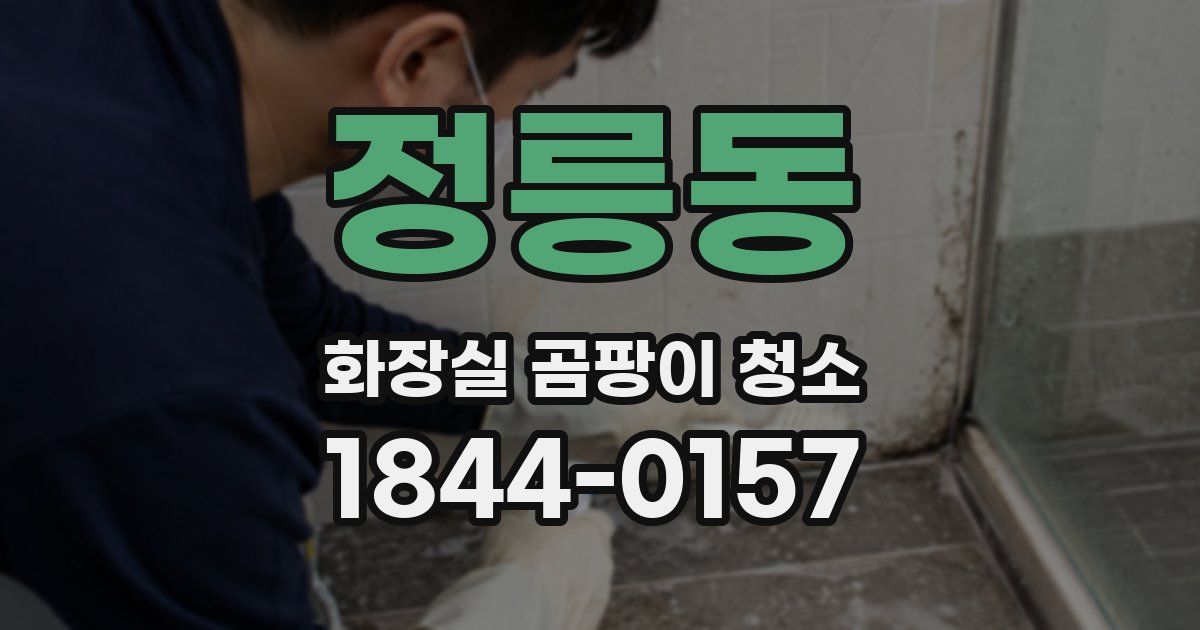 정릉동 화장실 곰팡이 청소
